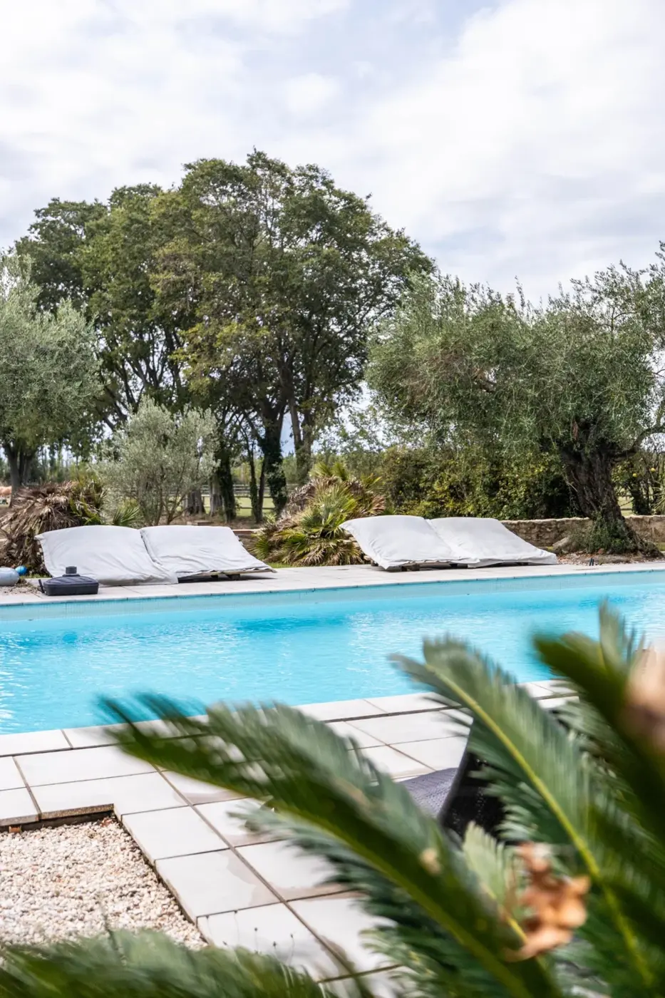 Piscine du domaine entourée de végétation
