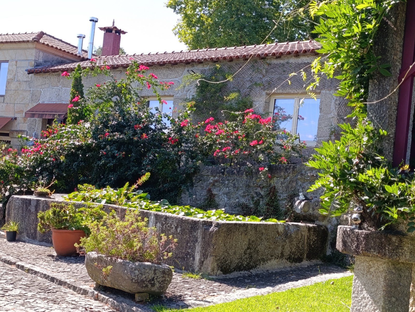 Casa Lotus Azul, Póvoa de Lanhoso (Minho)